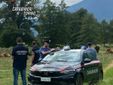 Controlli da parte dei carabinieri a Torino e provincia Controlli da parte dei carabinieri a Torino e provincia