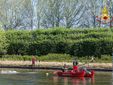 Un capriolo finisce in una grossa vasca a Venaria: portato in salvo dai pompieri