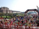 Sciame di calabroni imperversa a La Mandria durante la maratona
