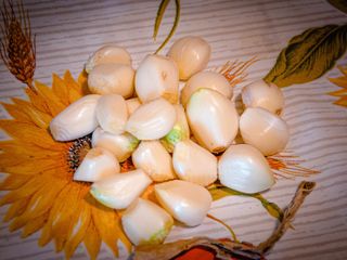 ph F. Dalmasso ph F. Dalmasso