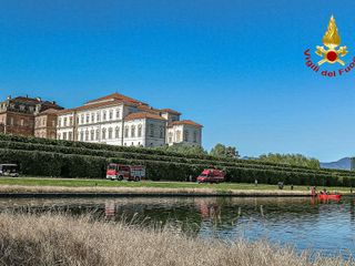 Un capriolo finisce in una grossa vasca a Venaria: portato in salvo dai pompieri Un capriolo finisce in una grossa vasca a Venaria: portato in salvo dai pompieri