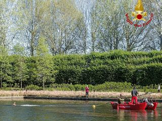Un capriolo finisce in una grossa vasca a Venaria: portato in salvo dai pompieri Un capriolo finisce in una grossa vasca a Venaria: portato in salvo dai pompieri