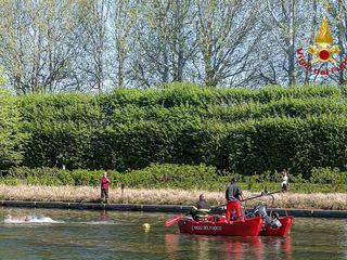 Un capriolo finisce in una grossa vasca a Venaria: portato in salvo dai pompieri Un capriolo finisce in una grossa vasca a Venaria: portato in salvo dai pompieri