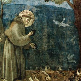Il 3 ottobre si celebrano gli 800 anni dalla morte di san Francesco (dipinto di Giotto)