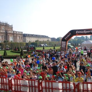 Sciame di calabroni imperversa a La Mandria durante la maratona