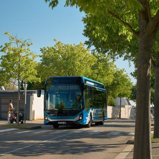 bus iveco