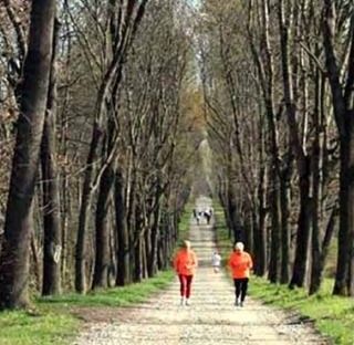 Ultimo appuntamento fissato per sabato 16 settembre al parco La Mandria