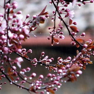 Scendono nuovamente le temperature, ma da giovedì cambia tutto