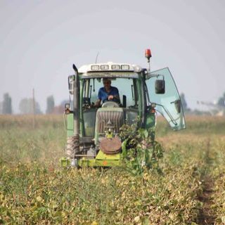 Campo coltivato per agricoltura