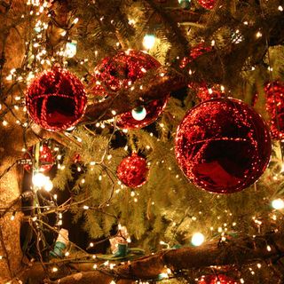 albero di natale