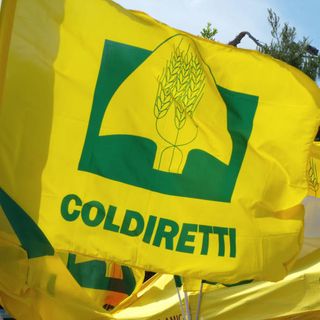 Coldiretti Piemonte lancia il manifesto delle priorità per l'agricoltura in vista delle elezioni