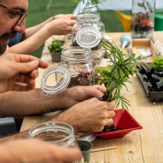 Festival del Verde, al via la seconda edizione: oltre 150 appuntamenti diffusi tra giardini, orti urbani e parchi pubblici