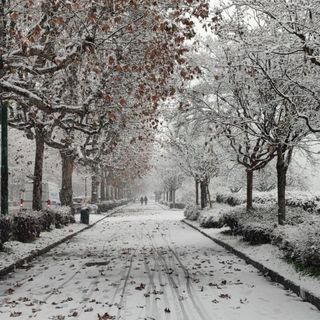 Nel weekend rischio neve anche a bassa quota nel Torinese