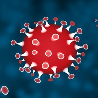 Coronavirus, 84 nuovi contagiati (solo 20 sintomatici), un decesso e 21 ricoverati in più oggi in Piemonte