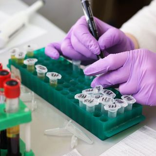 Meno positivi (ma anche meno tamponi) in Piemonte, ancora 14 decessi per il coronavirus
