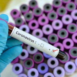 Coronavirus, altri 173 nuovi casi in Piemonte. Crescono sia i ricoveri in ospedale che quelli in terapia intensiva