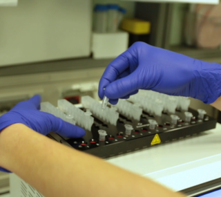 Laboratorio analisi con provette