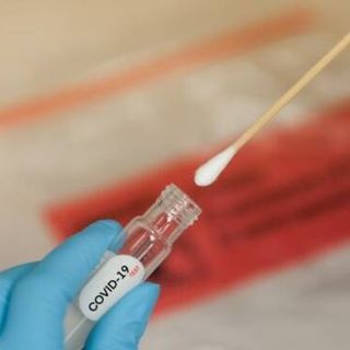 Covid in Piemonte: 145 nuovi casi, stabili le terapie intensive