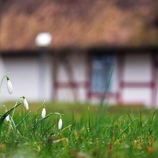 Concorso “Il giardino più bello”: la Regione premia chi si prende cura degli spazi comuni nelle case popolari