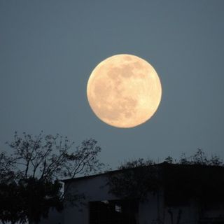 foto di repertorio