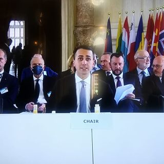 consiglio d'europa venaria