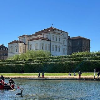 Un capriolo finisce in una grossa vasca a Venaria: portato in salvo dai pompieri