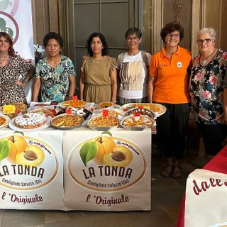 Domenica 12 luglio Costigliole Saluzzo celebra l’Albicocca Tonda, tra novità, golosità e grande passione