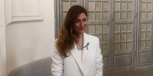 viceministra ucraina consiglio europa viceministra ucraina consiglio europa