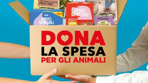 Sabato Nova Coop lancia l'iniziativa "Dona la spesa" per gli amici animali Sabato Nova Coop lancia l'iniziativa "Dona la spesa" per gli amici animali