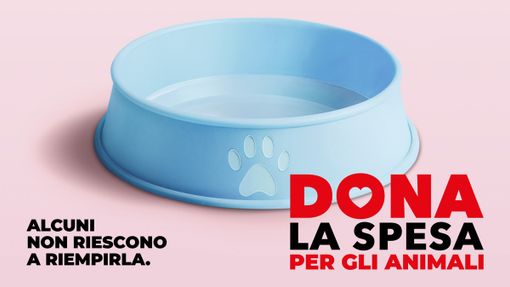 Sabato torna l'appuntamento con “Dona la Spesa per gli amici animali” Sabato torna l'appuntamento con “Dona la Spesa per gli amici animali”