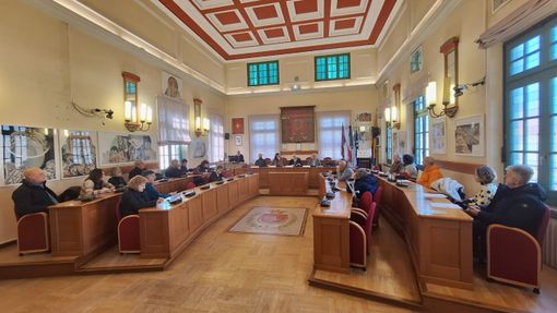 Manutenzione e riqualificazione di scuole e palestre: a Venaria investiti oltre 6 milioni Manutenzione e riqualificazione di scuole e palestre: a Venaria investiti oltre 6 milioni