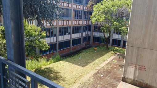 Erba alta: appalto da 700mila euro per la manutenzione del verde nelle scuole