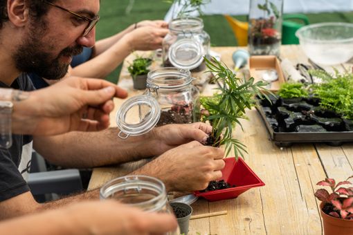 Festival del Verde, al via la seconda edizione: oltre 150 appuntamenti diffusi tra giardini, orti urbani e parchi pubblici