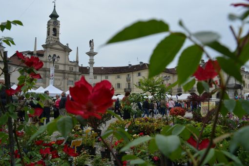 A Venaria Reale, un weekend di fiori e profumi con la Festa delle rose A Venaria Reale, un weekend di fiori e profumi con la Festa delle rose