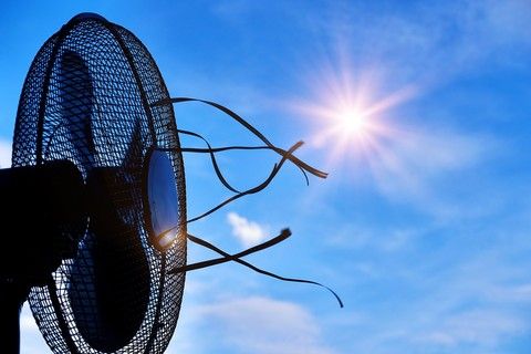 Ondate di calore, in Piemonte attivo il sistema di allerta fino a settembre Ondate di calore, in Piemonte attivo il sistema di allerta fino a settembre