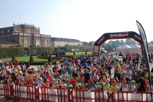 Sciame di calabroni imperversa a La Mandria durante la maratona