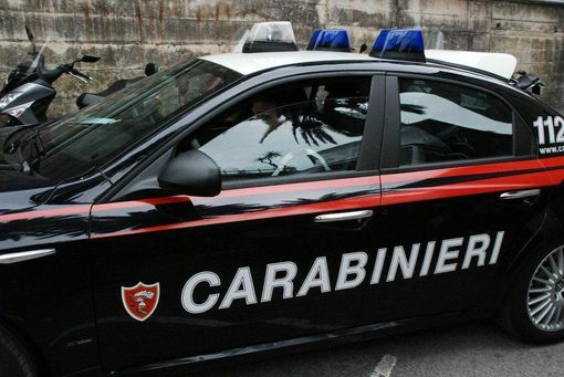 Rivoli, calci e pugni in un parco per un telefono: 14enne fermato e portato in carcere minorile Rivoli, calci e pugni in un parco per un telefono: 14enne fermato e portato in carcere minorile