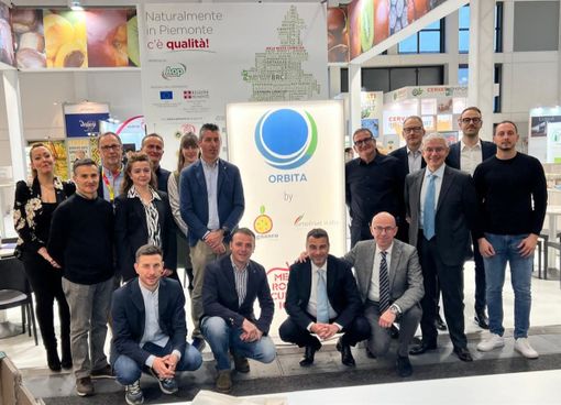 Kiwi giallo Haegeum, una grande opportunità per i produttori piemontesi