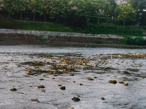 po in siccità - foto d'archivio