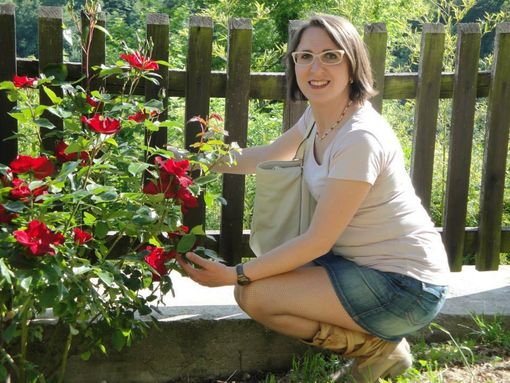 La rosa simbolo del mese di maggio