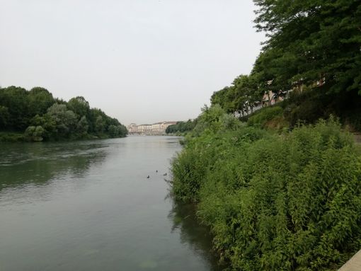 I parchi del Piemonte vincono il premio per la miglior tesi di laurea I parchi del Piemonte vincono il premio per la miglior tesi di laurea