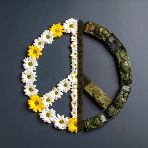 Collegno, M5S: "Sul riarmo il Consiglio comunale approva tutto e il contrario di tutto"