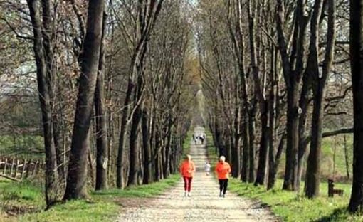 Ultimo appuntamento fissato per sabato 16 settembre al parco La Mandria