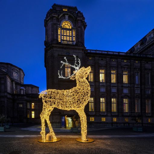 reggia di venaria natale 2021