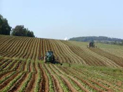 L'agricoltura piemontese faccia a faccia col Covid e l'inverno più caldo degli ultimi 63 anni, &quot;ma non abbiamo mai fatto mancare il cibo alle persone&quot;