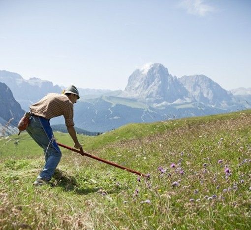 &quot;Voglio vivere in montagna&quot;: 302 le domande dei cittadini finanziate dalla Regione Piemonte