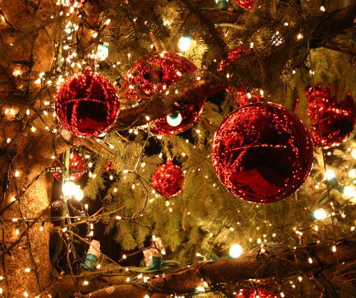albero di natale