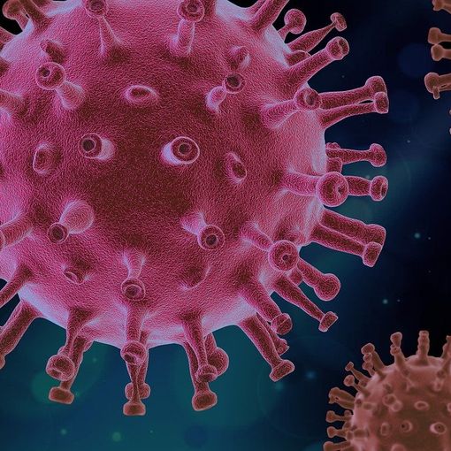 Covid, in Piemonte altri 12 decessi. I neo guariti superano i nuovi contagiati
