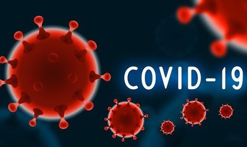 Covid in digitale