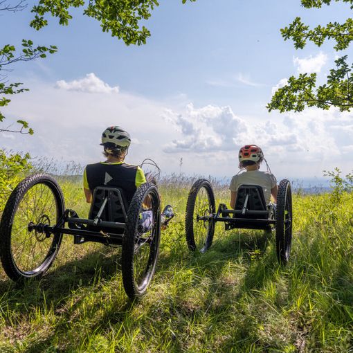 Piemonte sempre più per tutti: &quot;World summit sul turismo accessibile nel 2025 a Torino&quot;